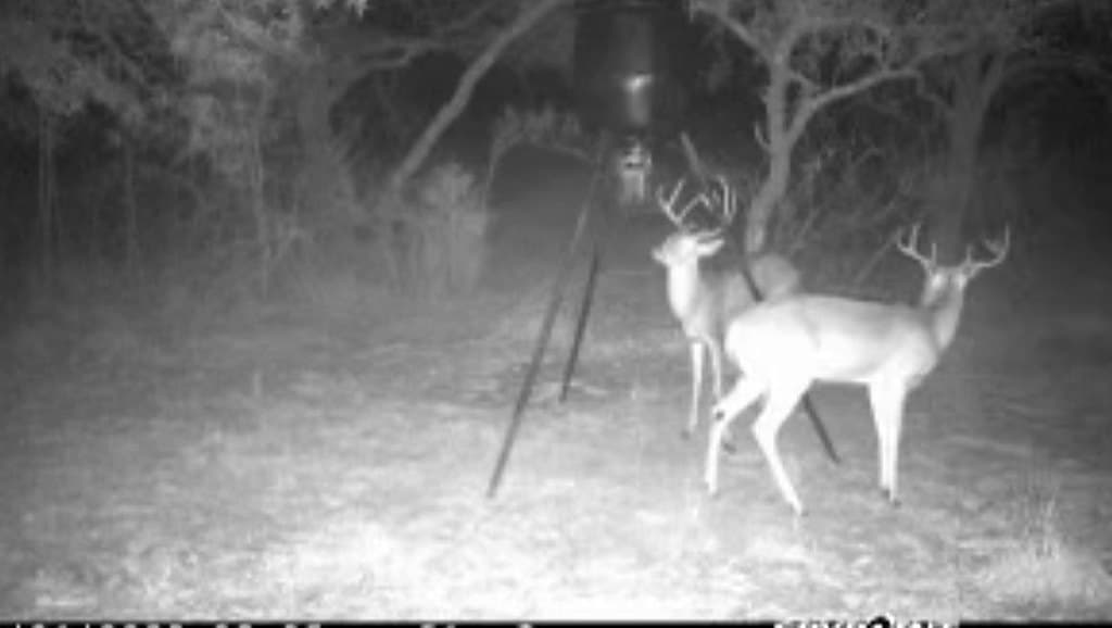 7.36 acres in Fayette County - photo 18