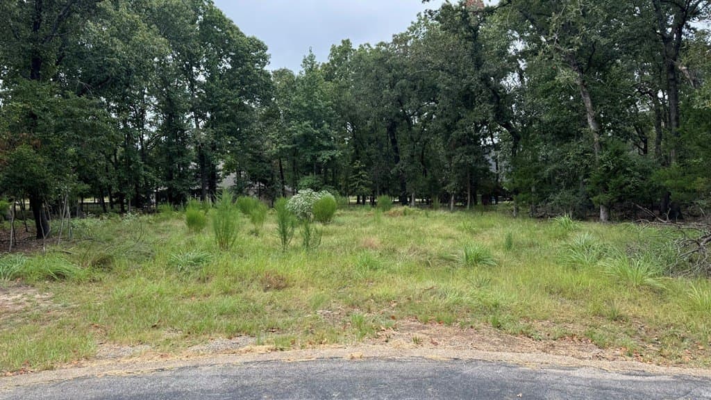0.42 acres in Henderson County - photo 3