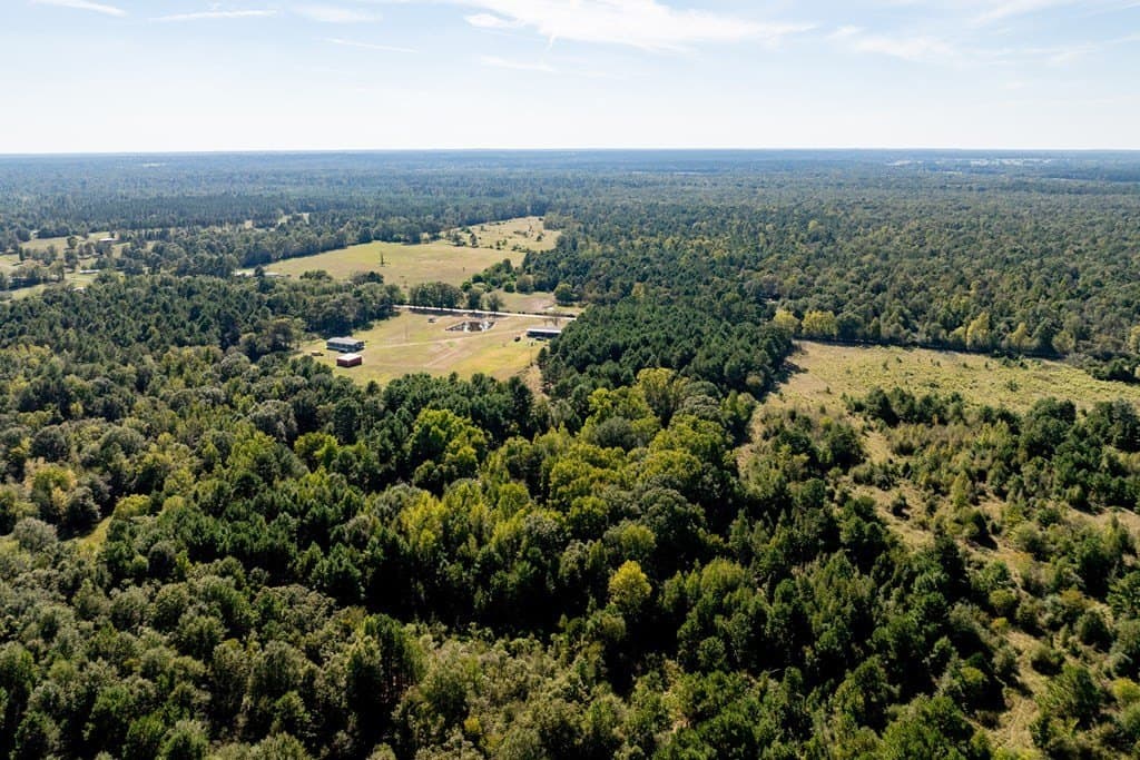 13 acres in HOUSTON County - photo 9