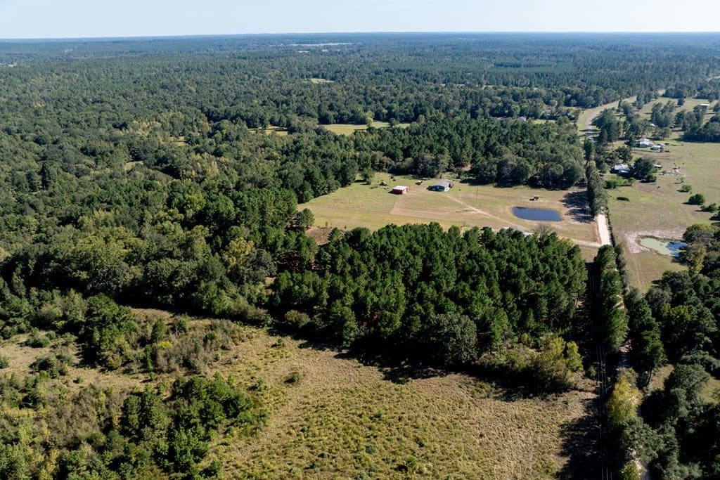 13 acres in HOUSTON County - photo 6