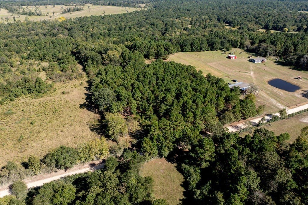 13 acres in HOUSTON County - photo 3