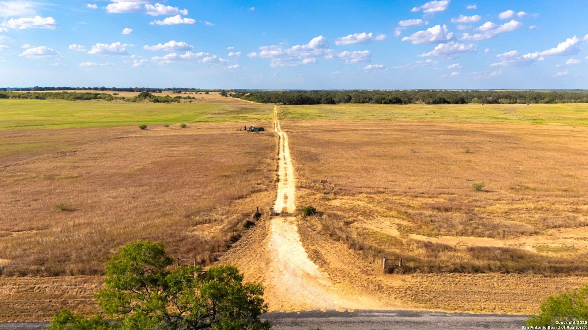 59.89 acres in Wilson County - photo 5