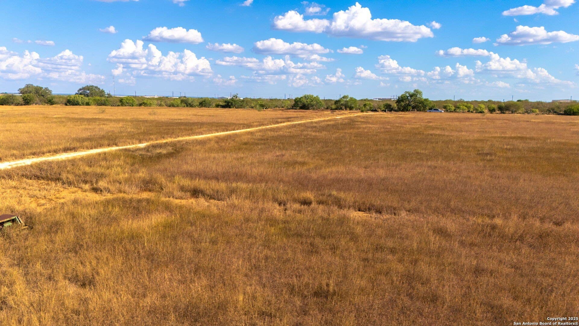 59.89 acres in Wilson County - photo 14