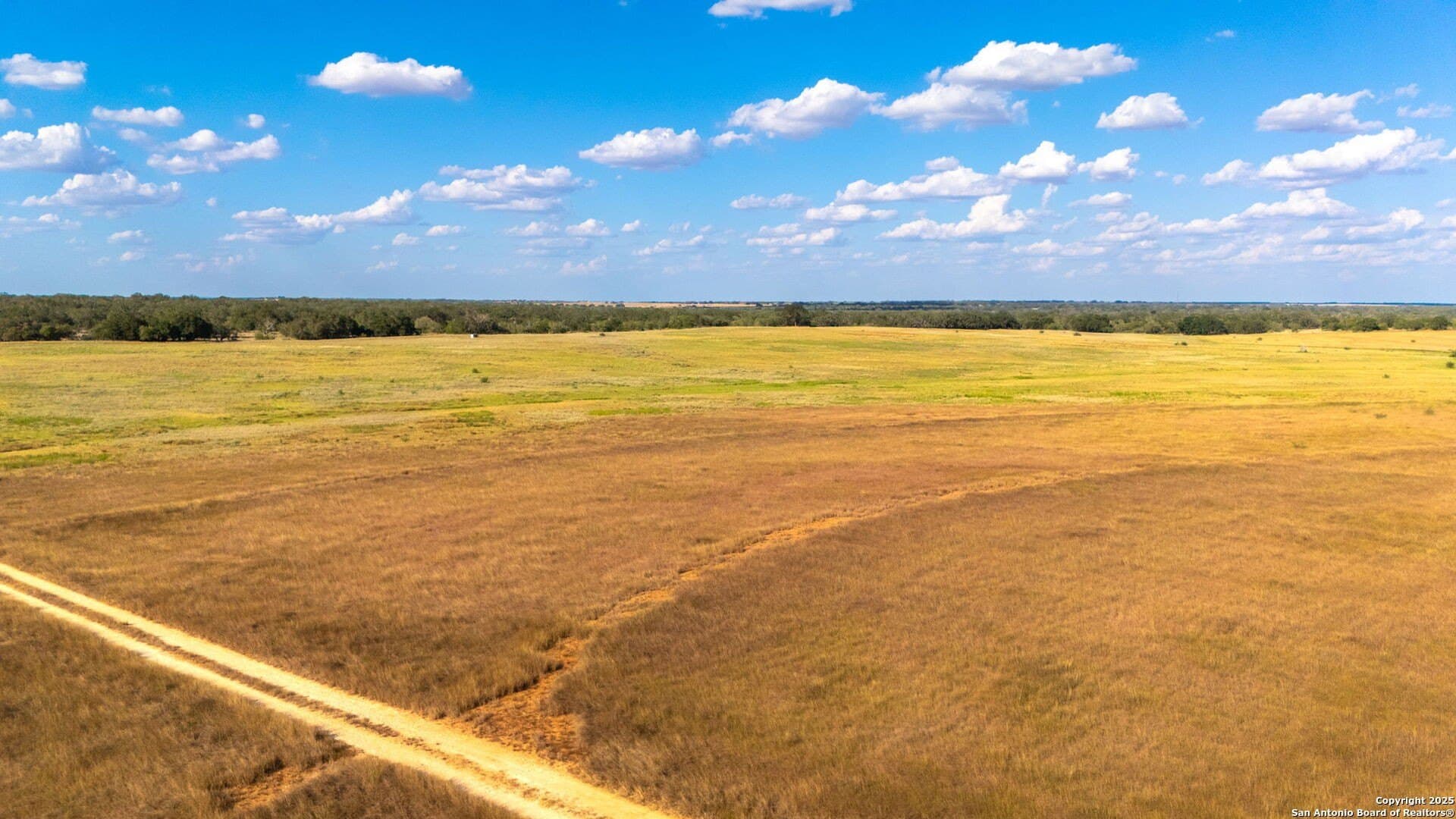 59.89 acres in Wilson County - photo 16