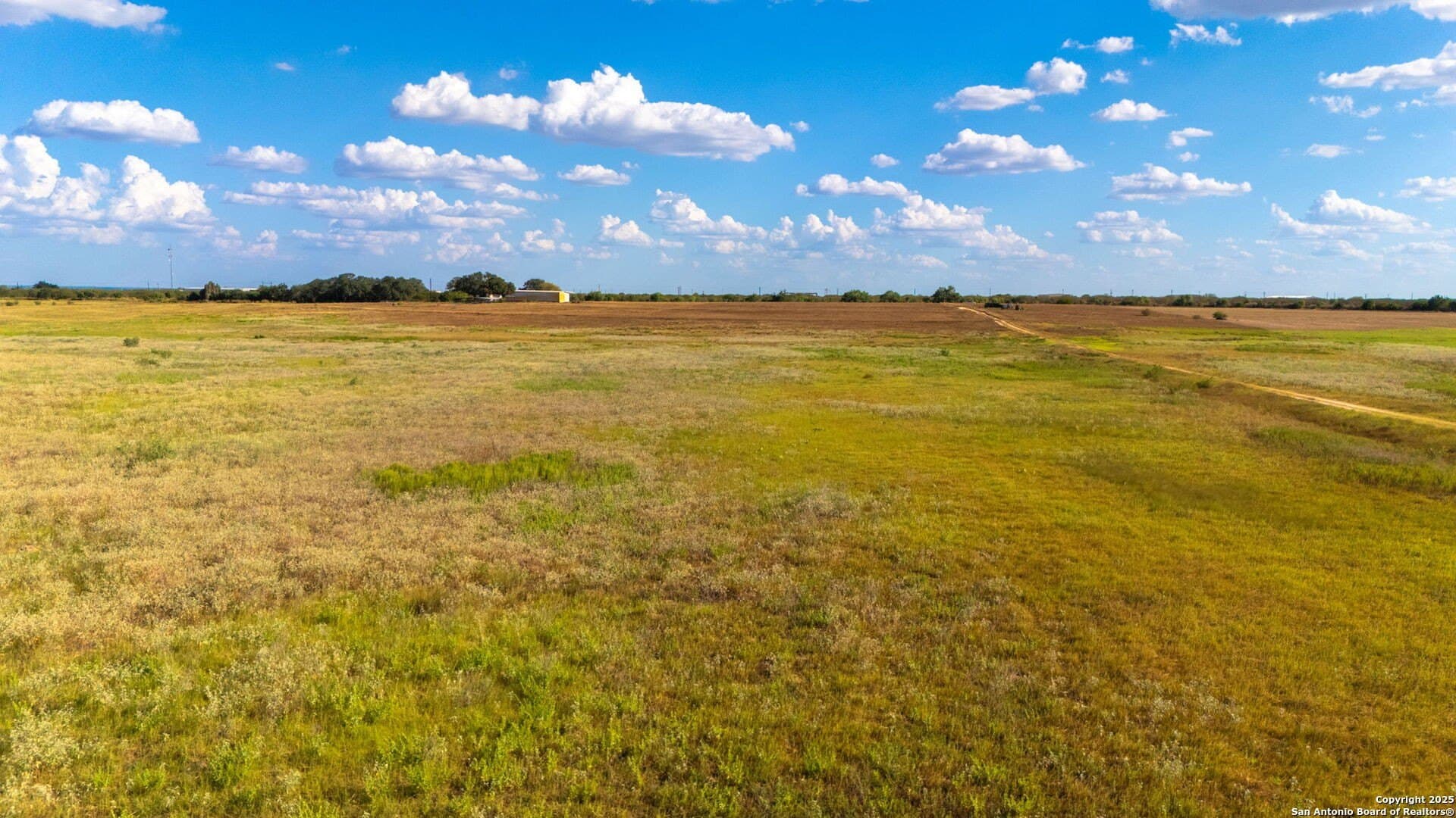 59.89 acres in Wilson County - photo 15