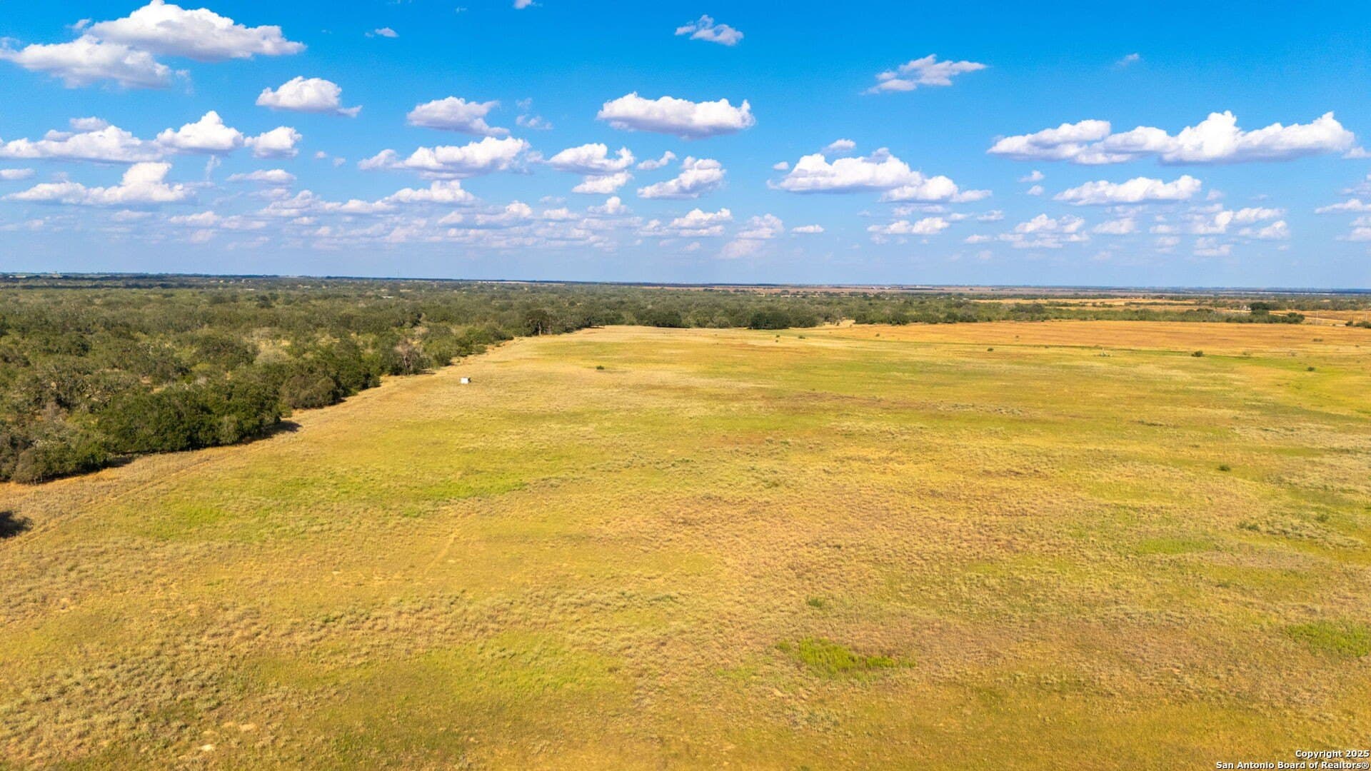 59.89 acres in Wilson County - photo 6