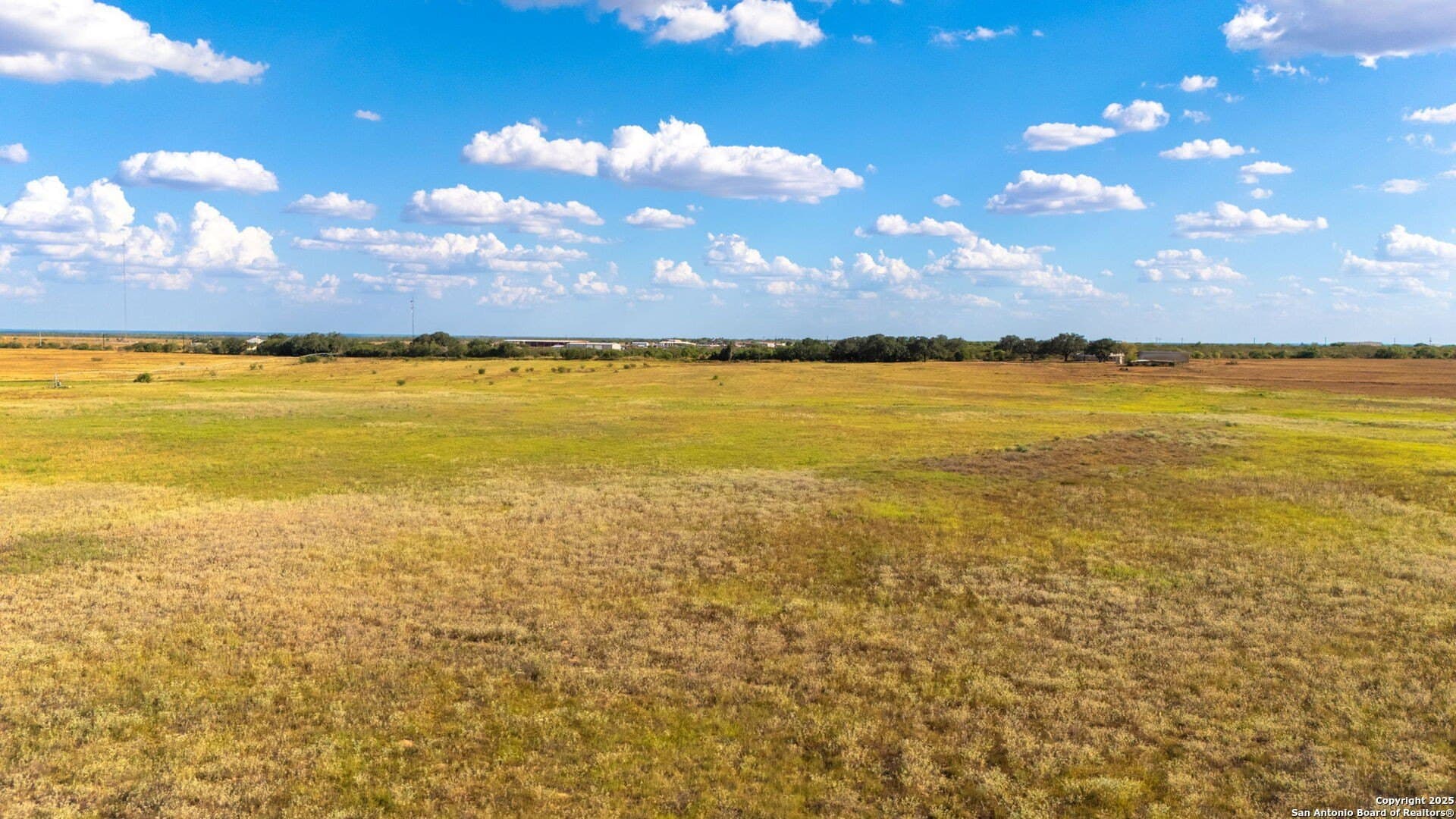 59.89 acres in Wilson County - photo 19