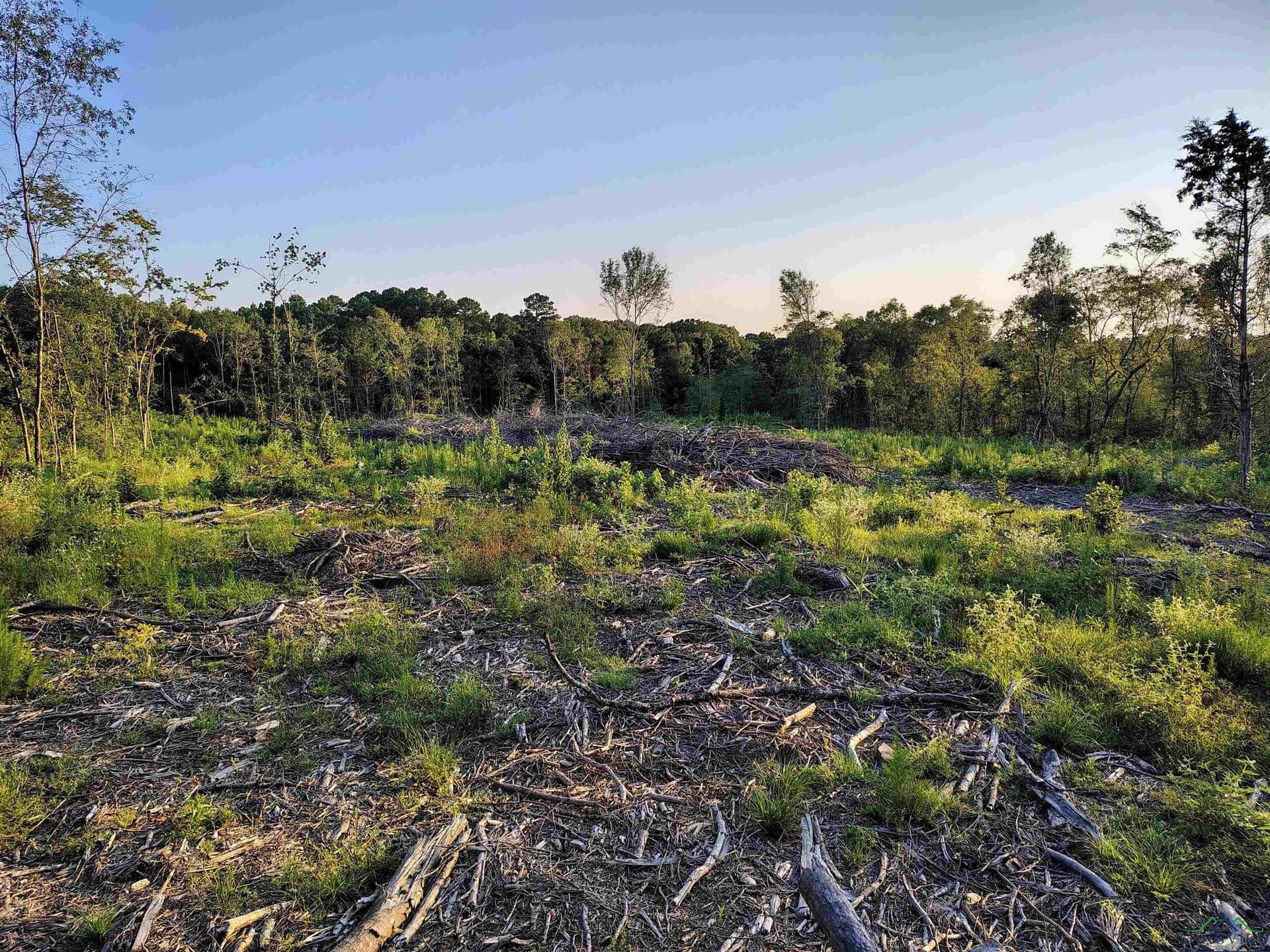 20 acres in Texas County - photo 16