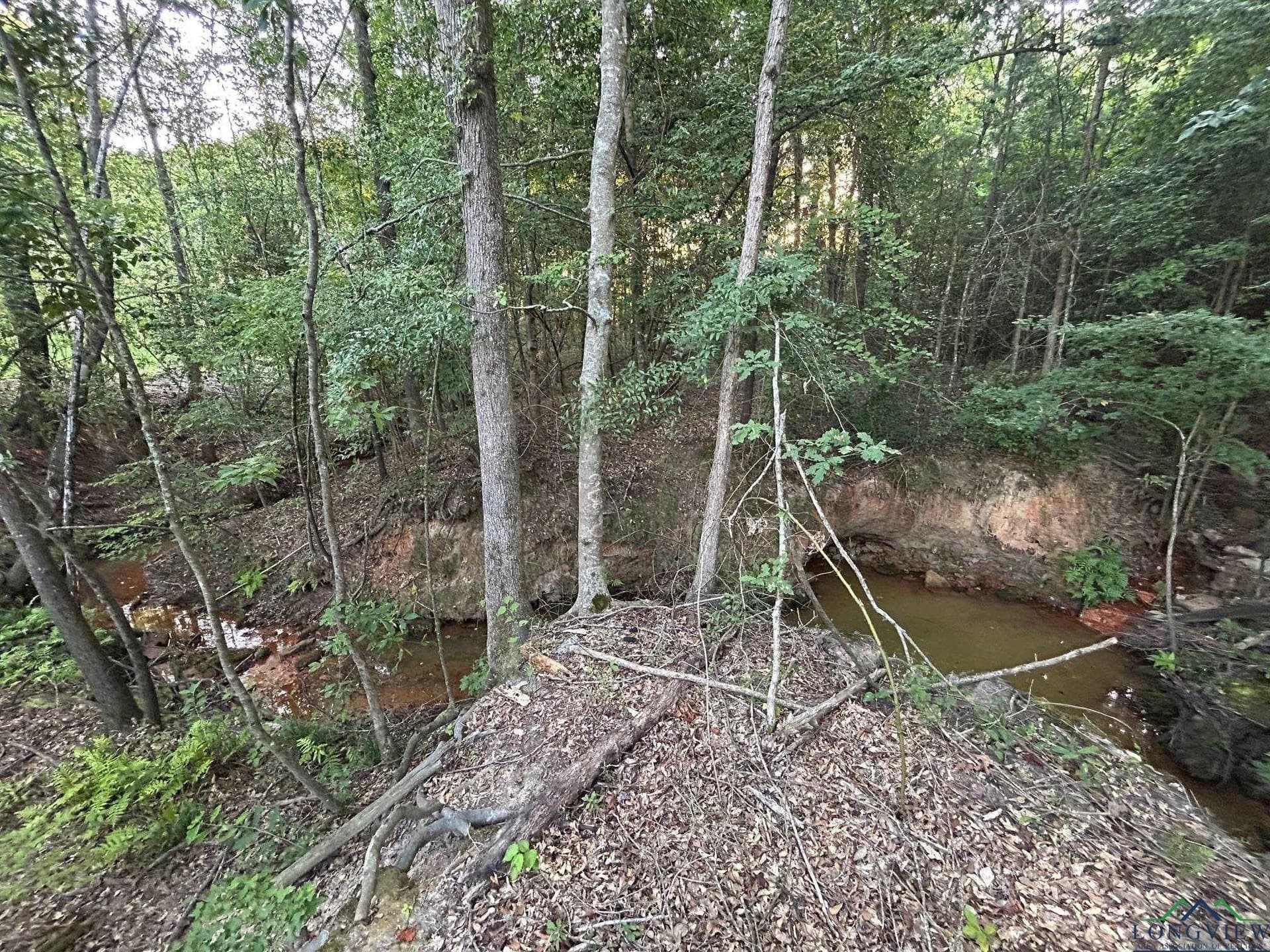 20 acres in Texas County - photo 10