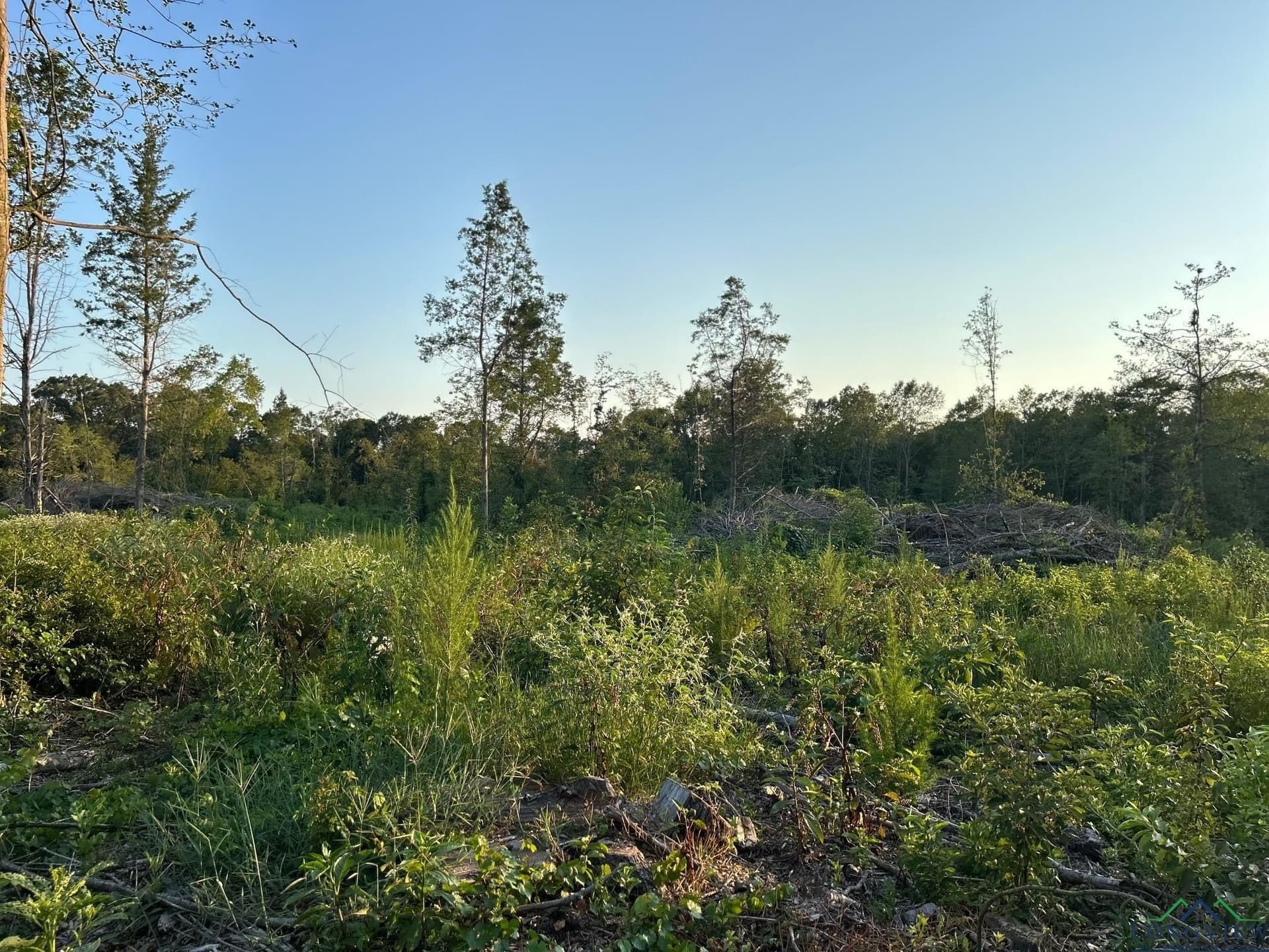 20 acres in Texas County - photo 8