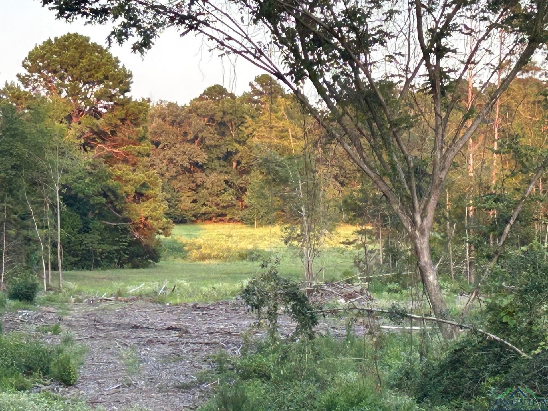 20 acres in Texas County - photo 5