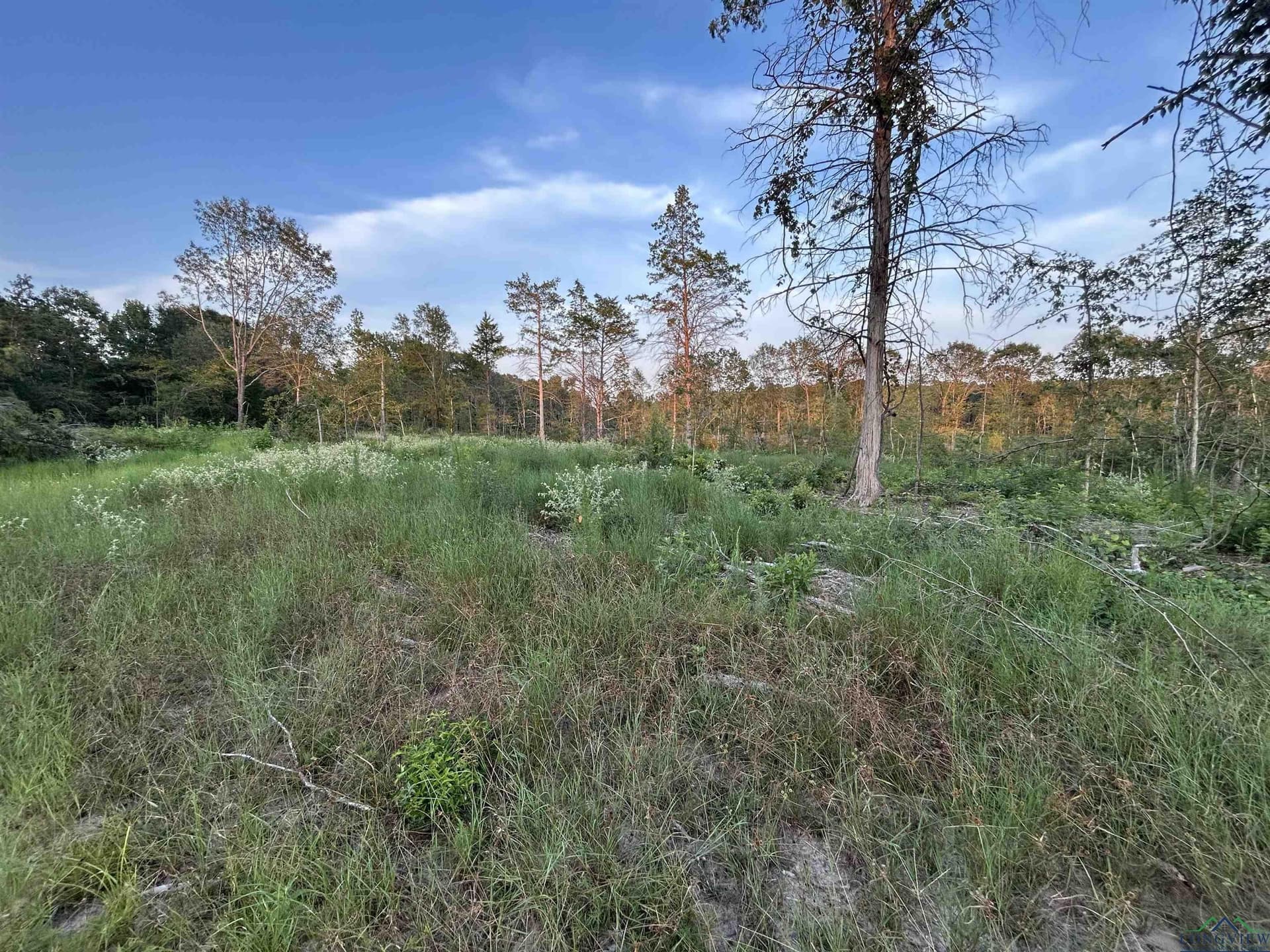 20 acres in Texas County - photo 6