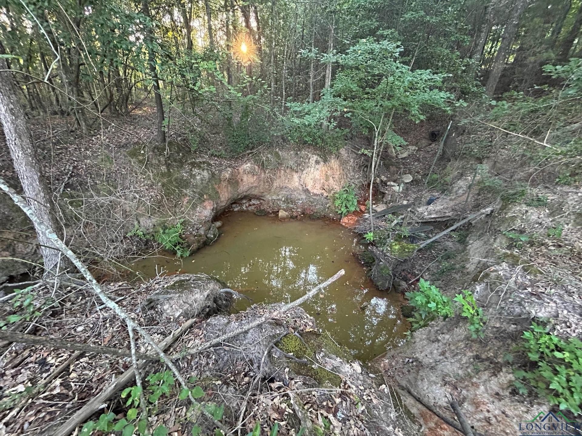 20 acres in Texas County - photo 11