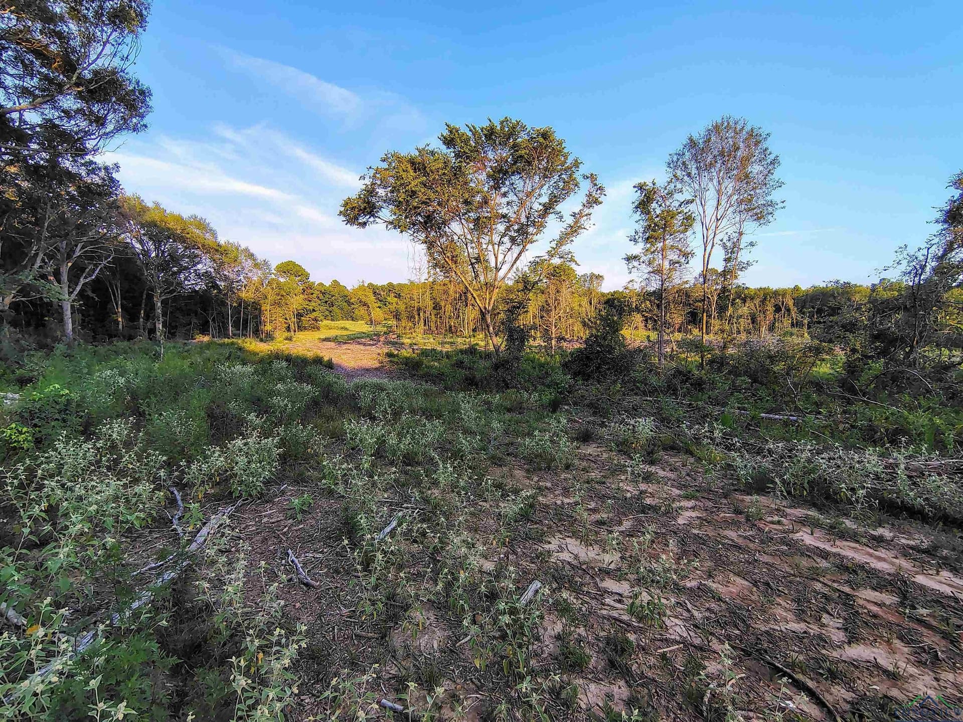 20 acres in Texas County - photo 18