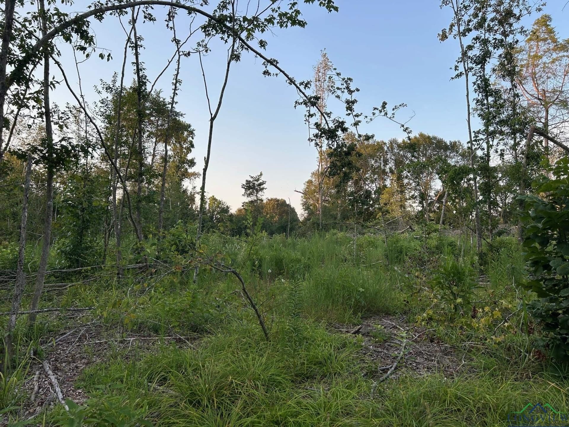 20 acres in Texas County - photo 7