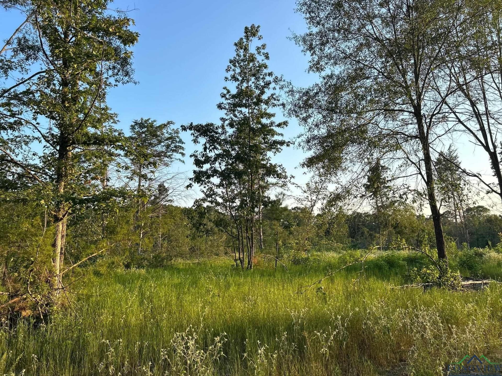 20 acres in Texas County - photo 9