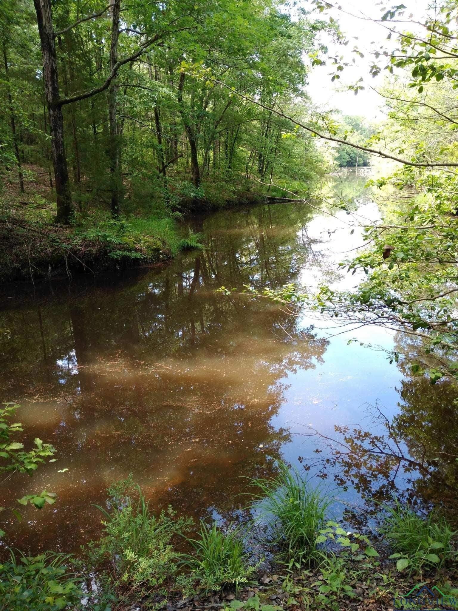 20 acres in Texas County - photo 4