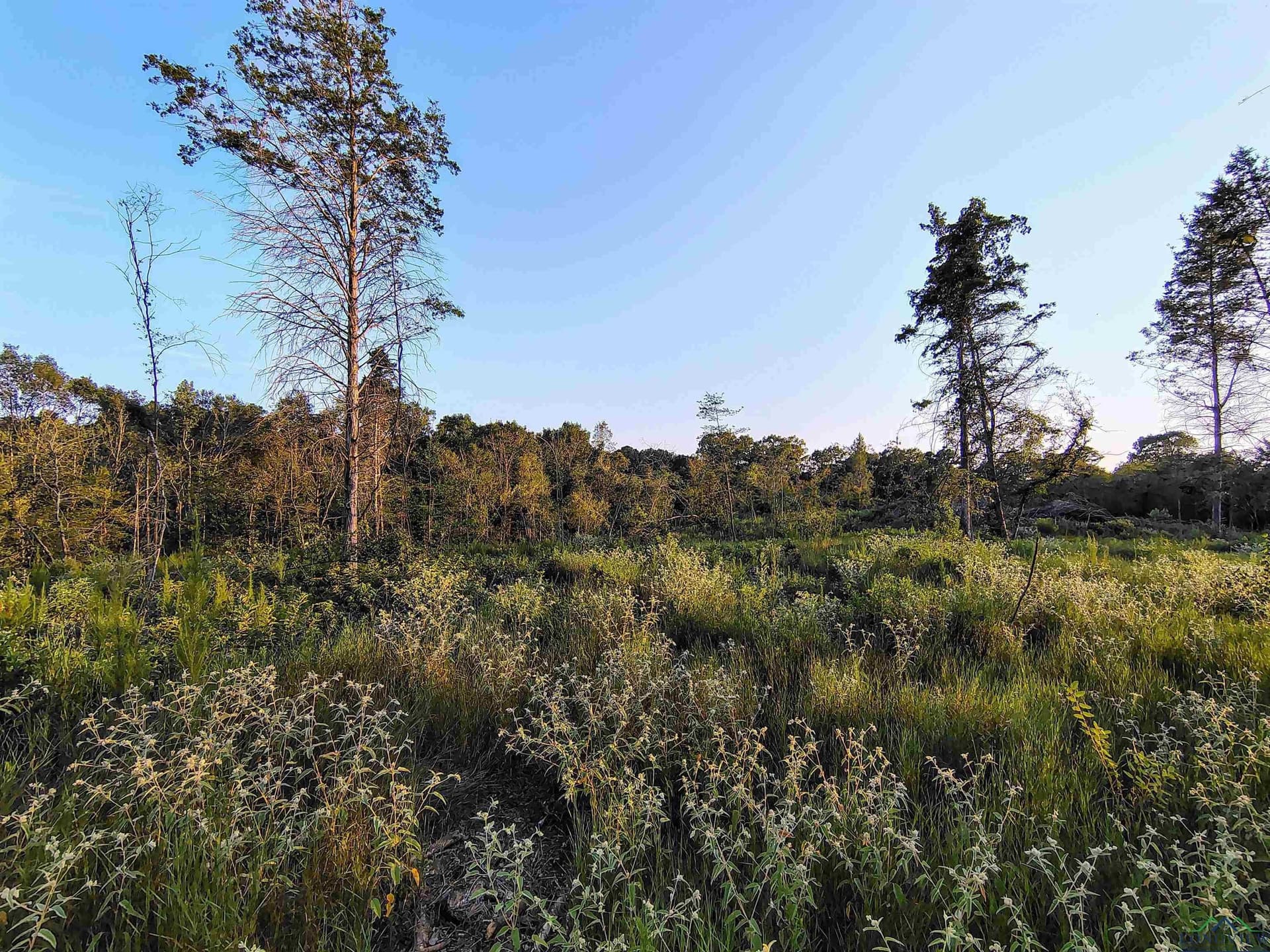 20 acres in Texas County - photo 19