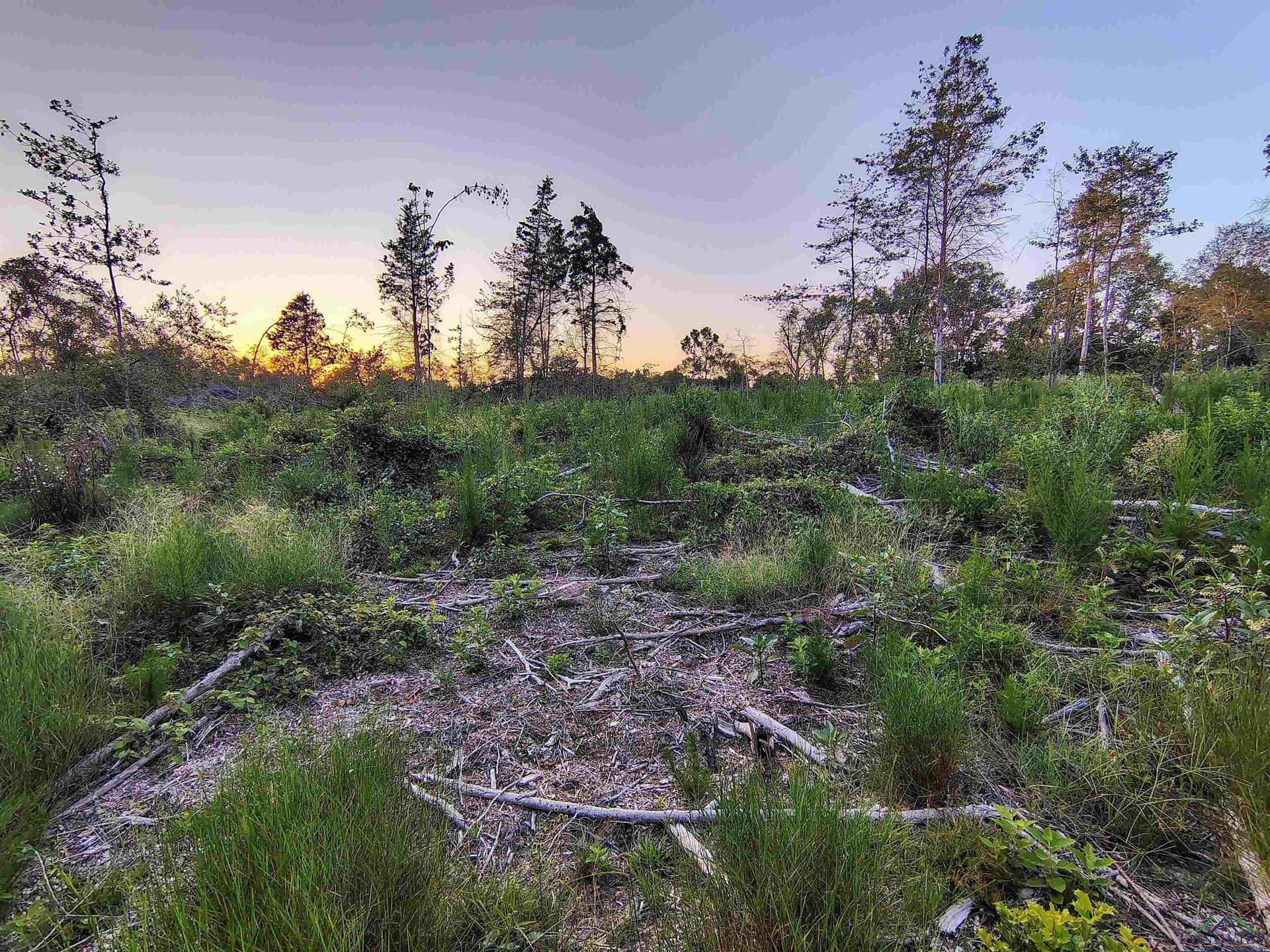 20 acres in Texas County - photo 21