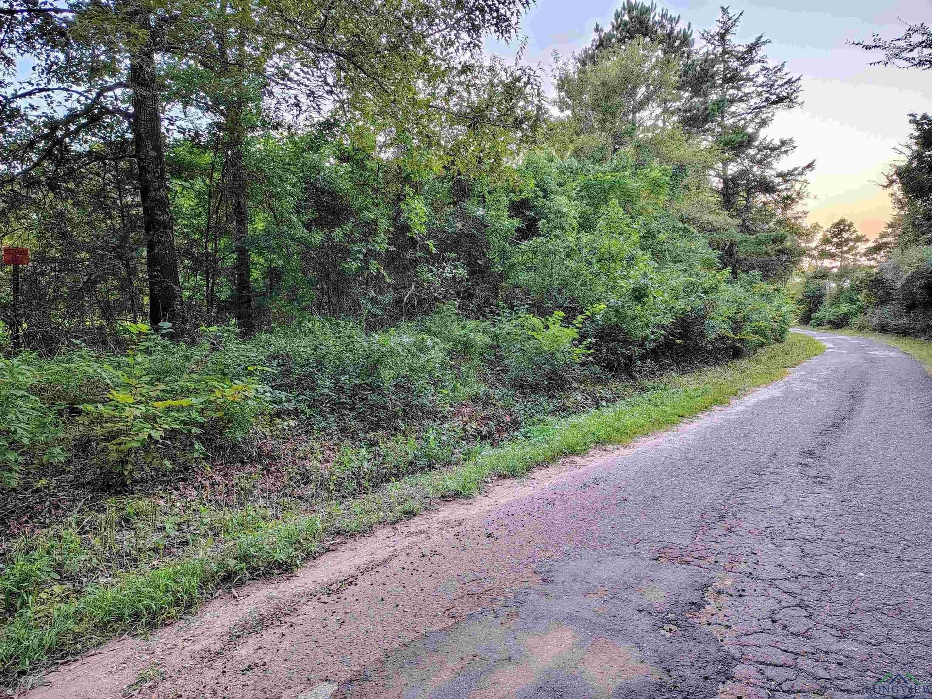 20 acres in Texas County - photo 2