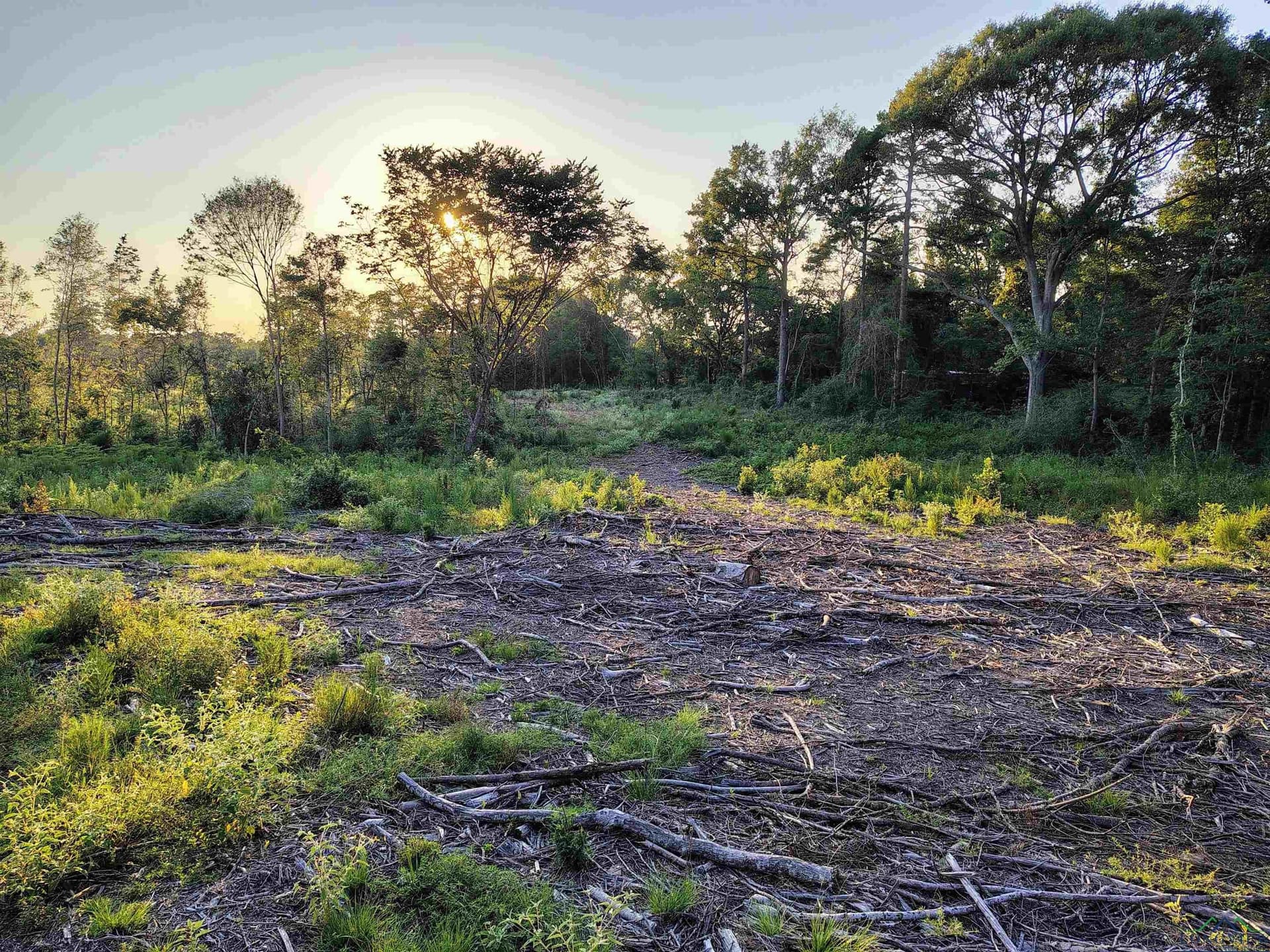 20 acres in Texas County - photo 17
