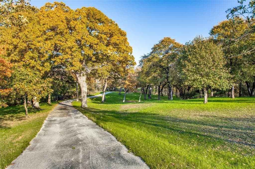 14 acres in Denton County - photo 7