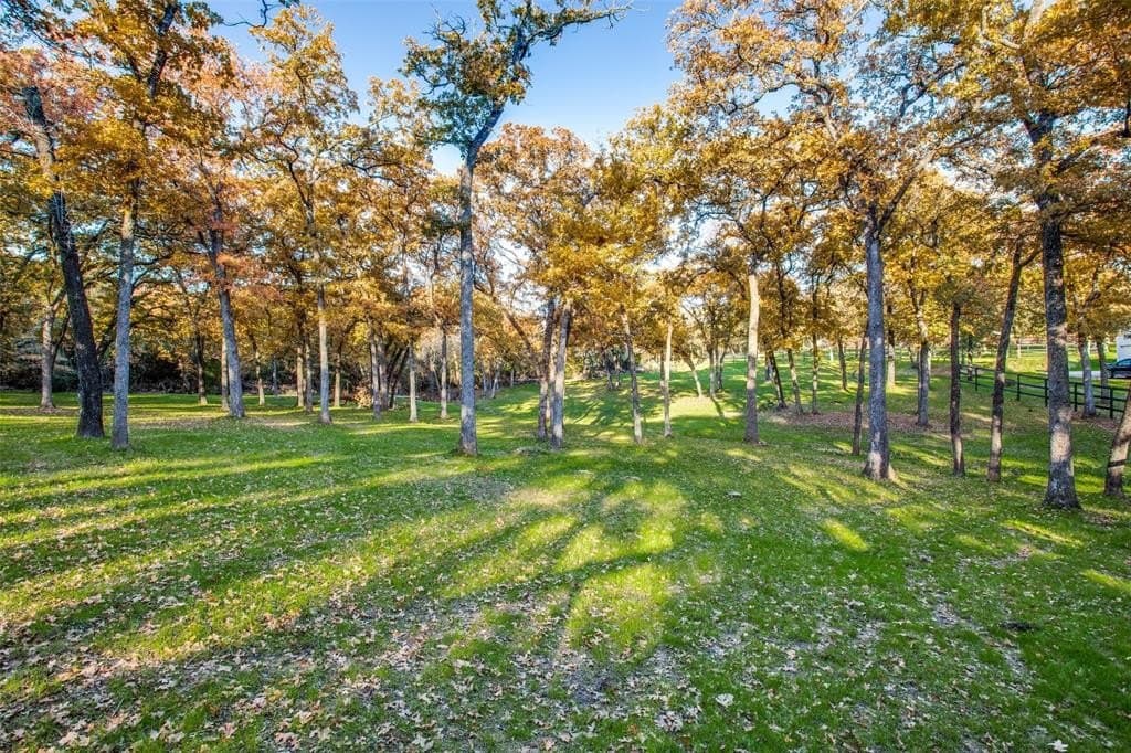 14 acres in Denton County - photo 15