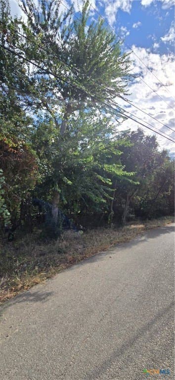 0.12 acres in Bell County - photo 3