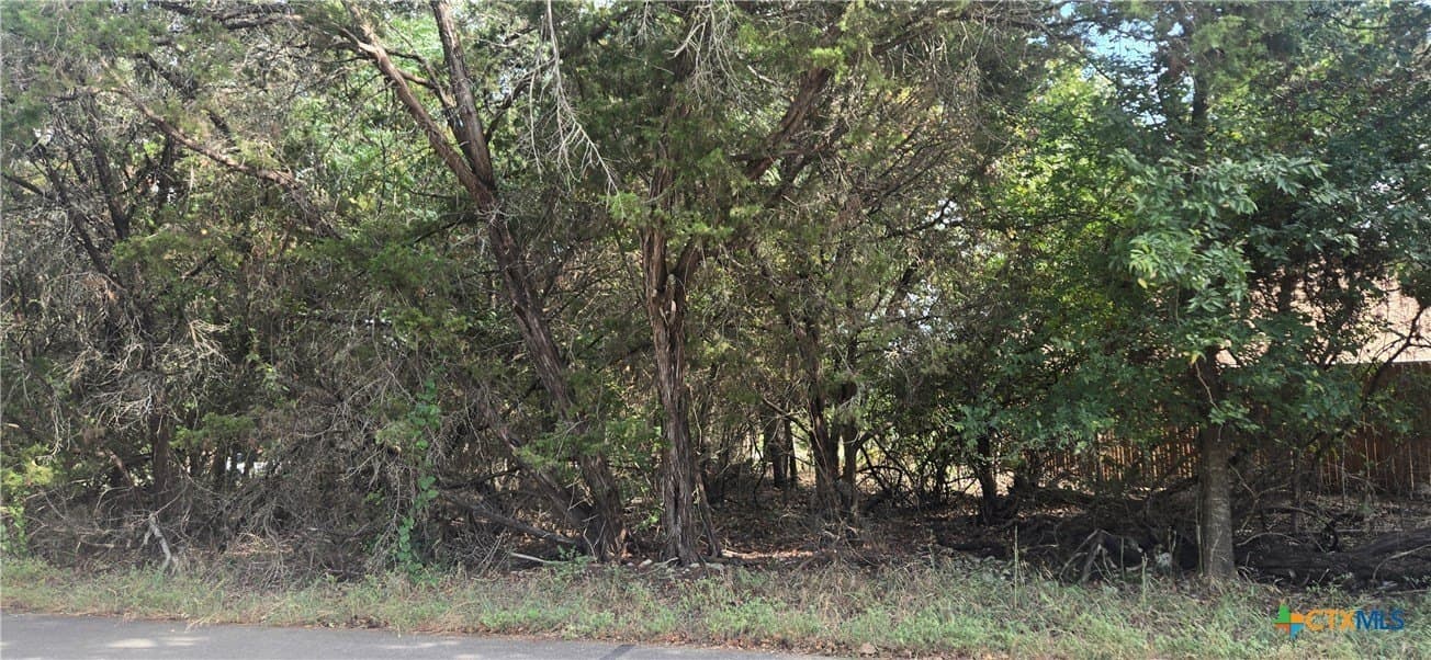 0.12 acres in Bell County - photo 2