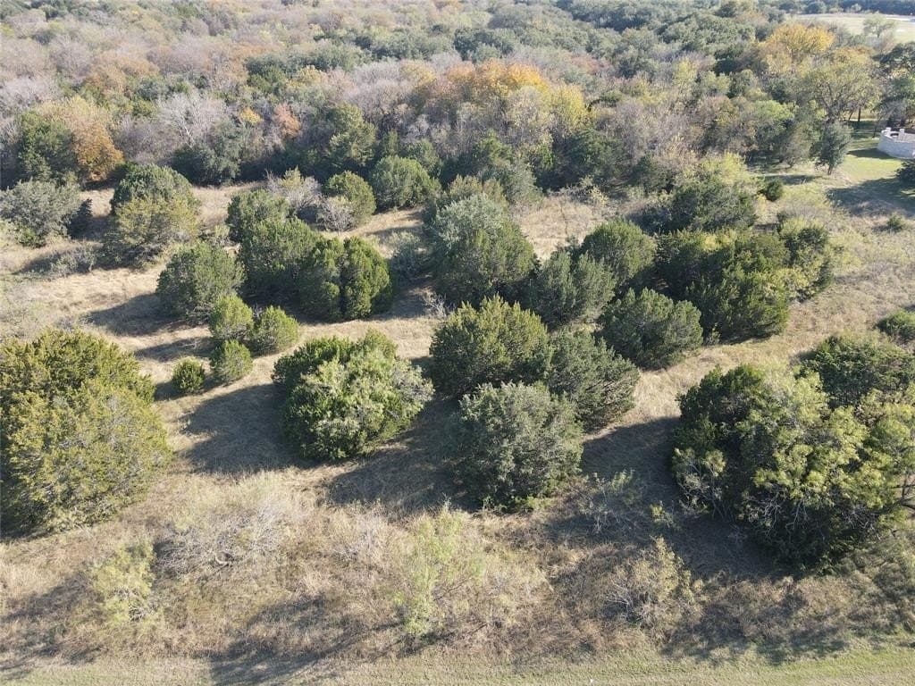 1.03 acres in Hill County - photo 4
