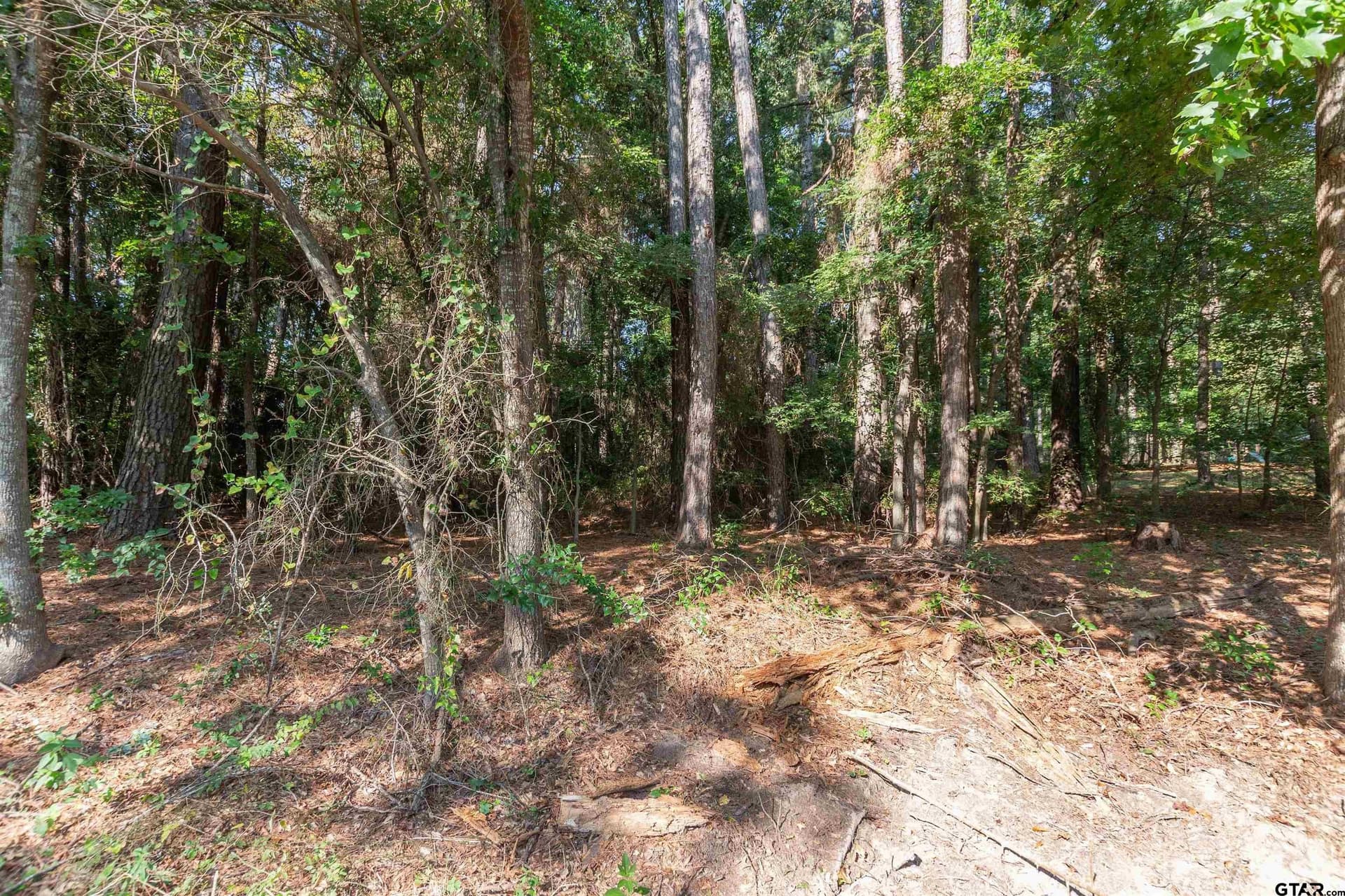0.72 acres in Smith County - photo 4