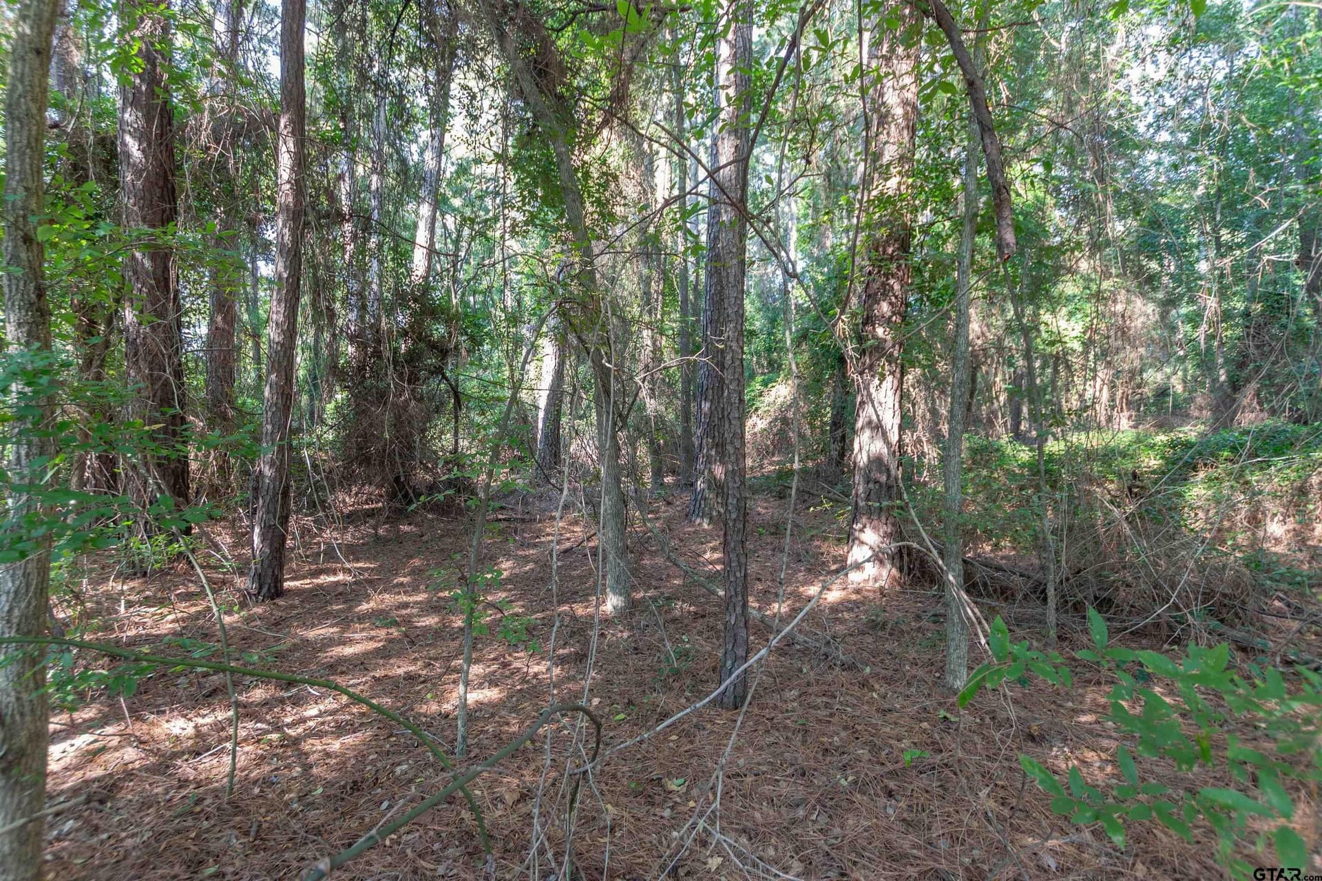 0.72 acres in Smith County - photo 3