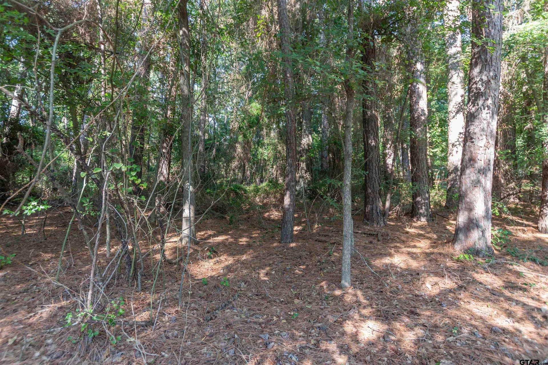 0.72 acres in Smith County - photo 2