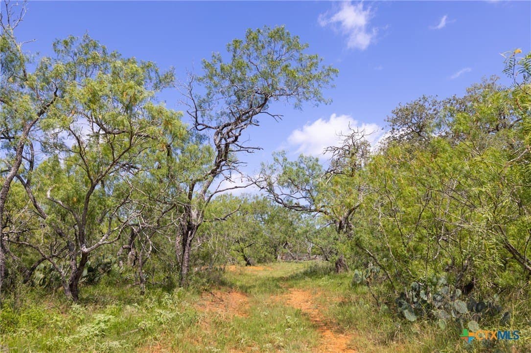 259 acres in Gonzales County - photo 6