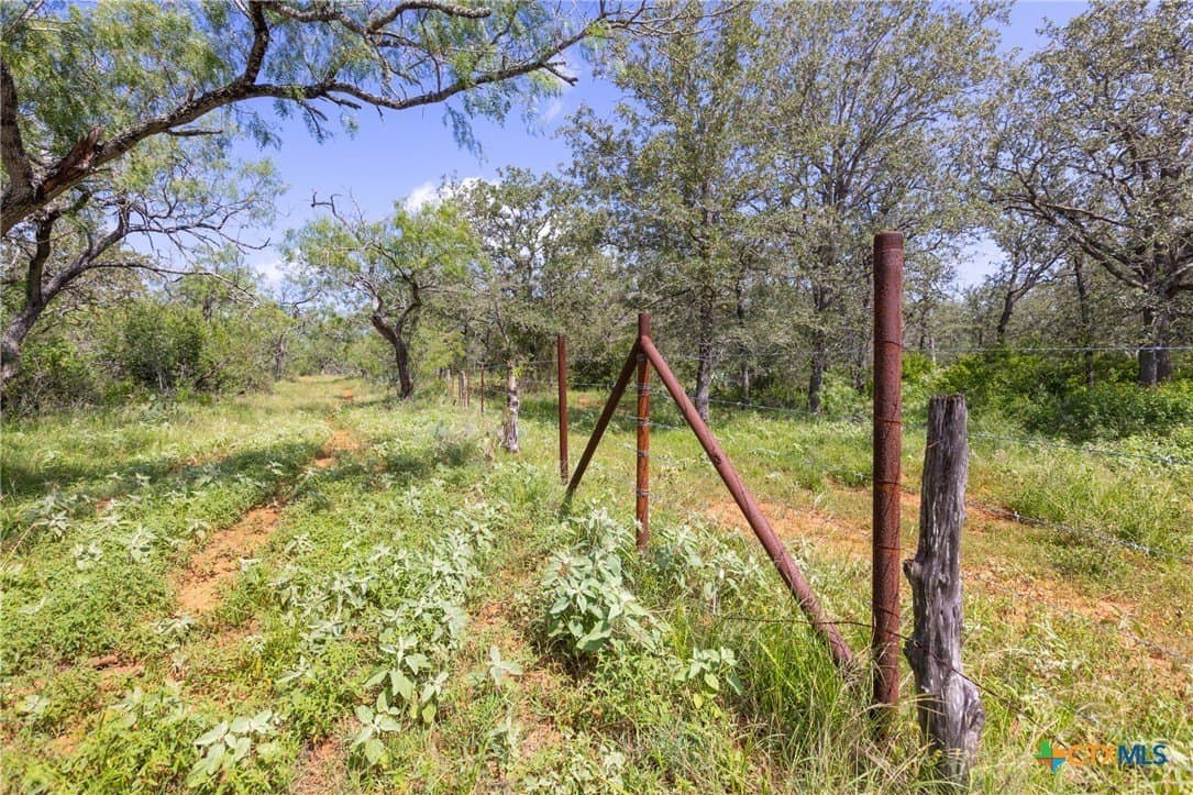 259 acres in Gonzales County - photo 8