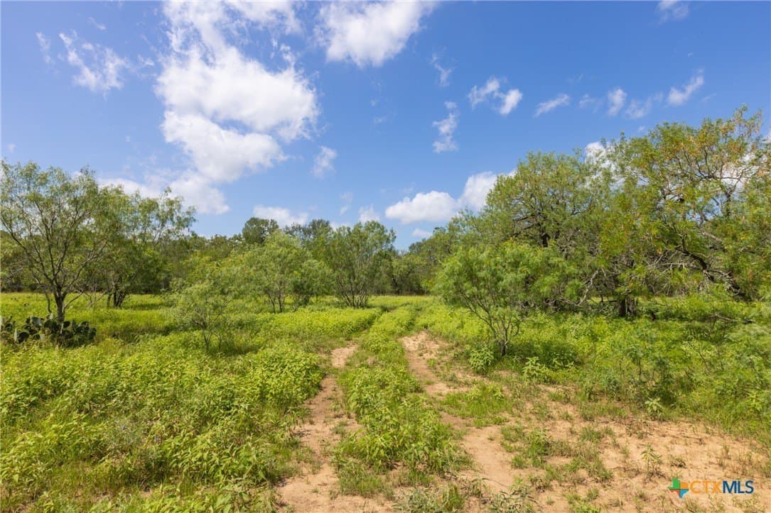 259 acres in Gonzales County - photo 34