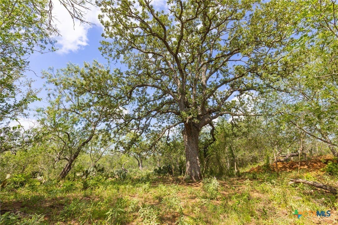 259 acres in Gonzales County - photo 26
