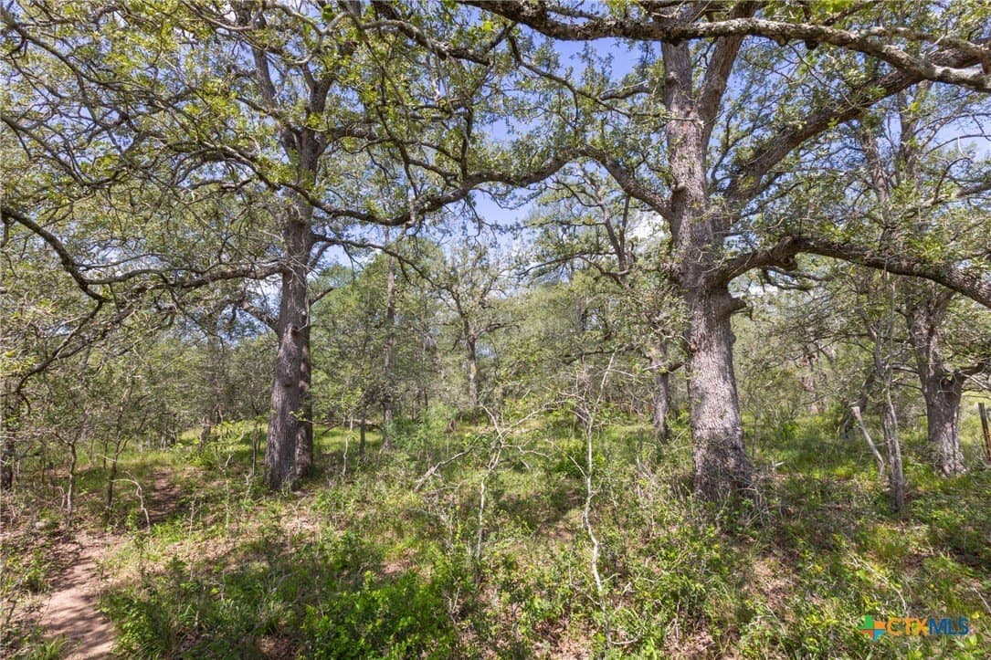 259 acres in Gonzales County - photo 35