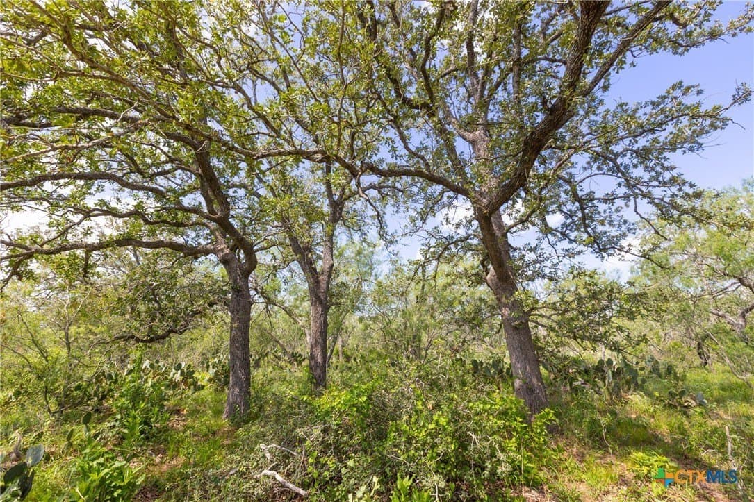 259 acres in Gonzales County - photo 12
