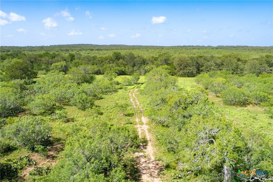 259 acres in Gonzales County - photo 2