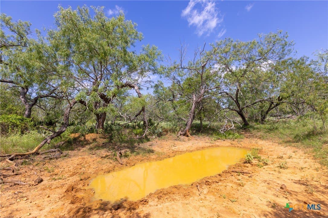 259 acres in Gonzales County - photo 5