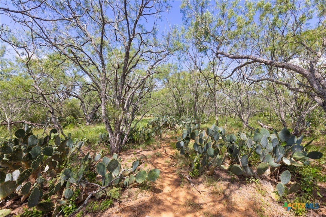 259 acres in Gonzales County - photo 9