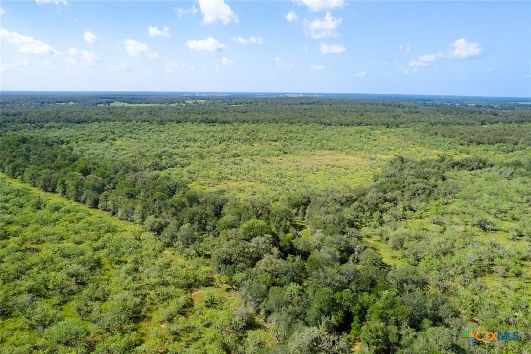 259 acres in Gonzales County - photo 40