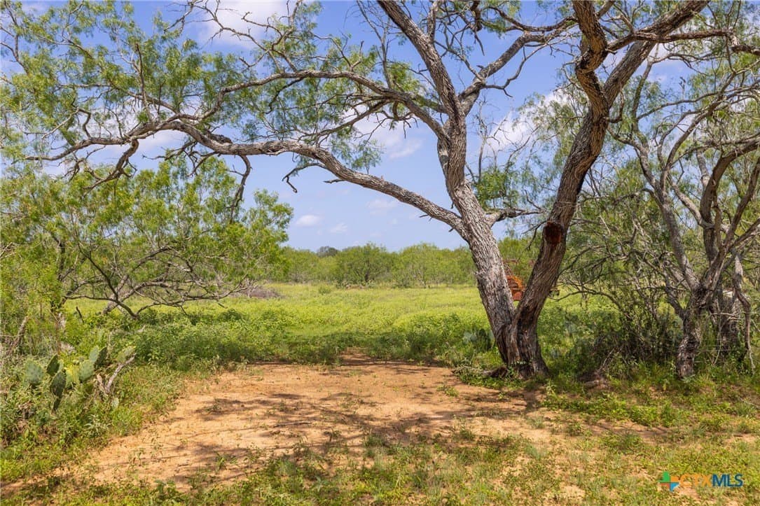 259 acres in Gonzales County - photo 30