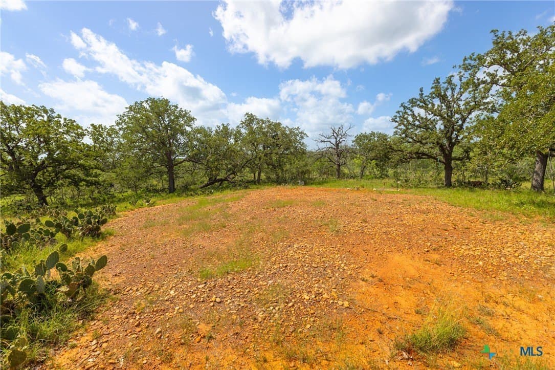 259 acres in Gonzales County - photo 19
