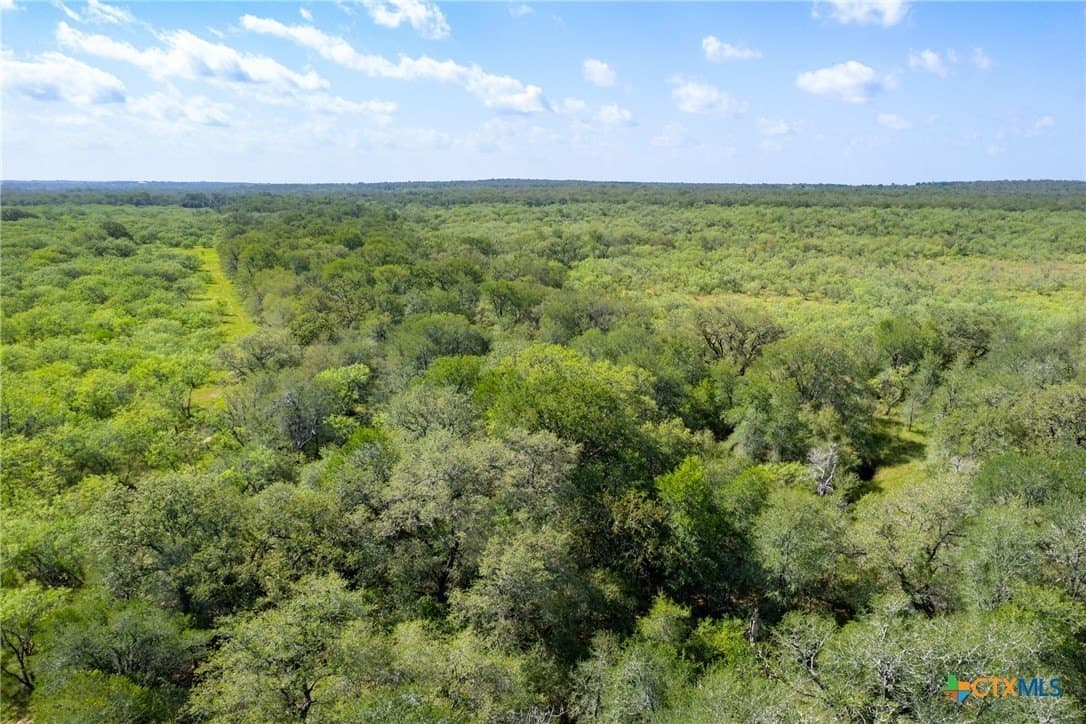 259 acres in Gonzales County - photo 42