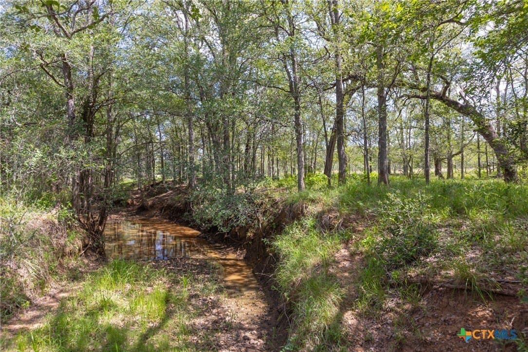 259 acres in Gonzales County - photo 37