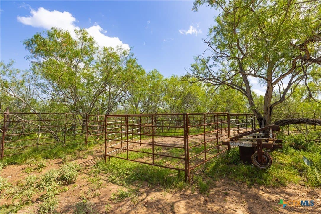 259 acres in Gonzales County - photo 29
