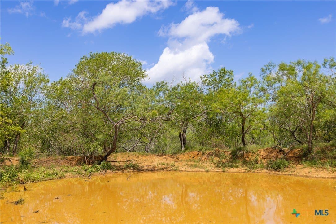 259 acres in Gonzales County - photo 27