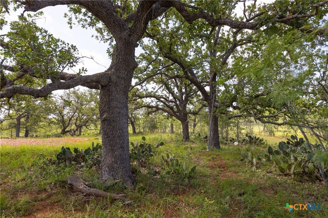 259 acres in Gonzales County - photo 13
